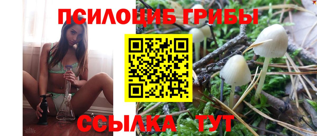 Галлюциногенные грибы мицелий  наркошоп  Вход с VPN  Кропоткин  Галлюциногенные грибы Psilocybe 